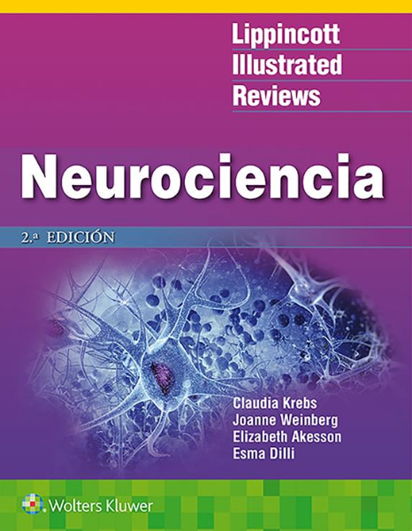 LIR. Neurociencia