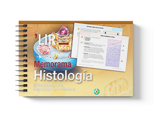 Memorama. Histología