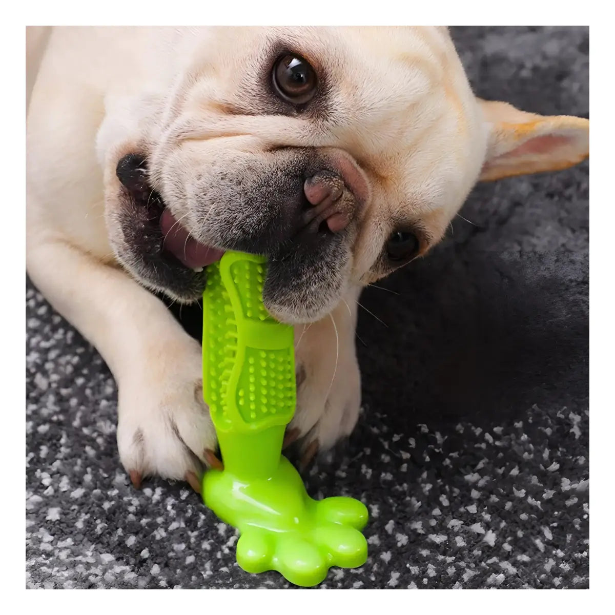 Toothbrush
