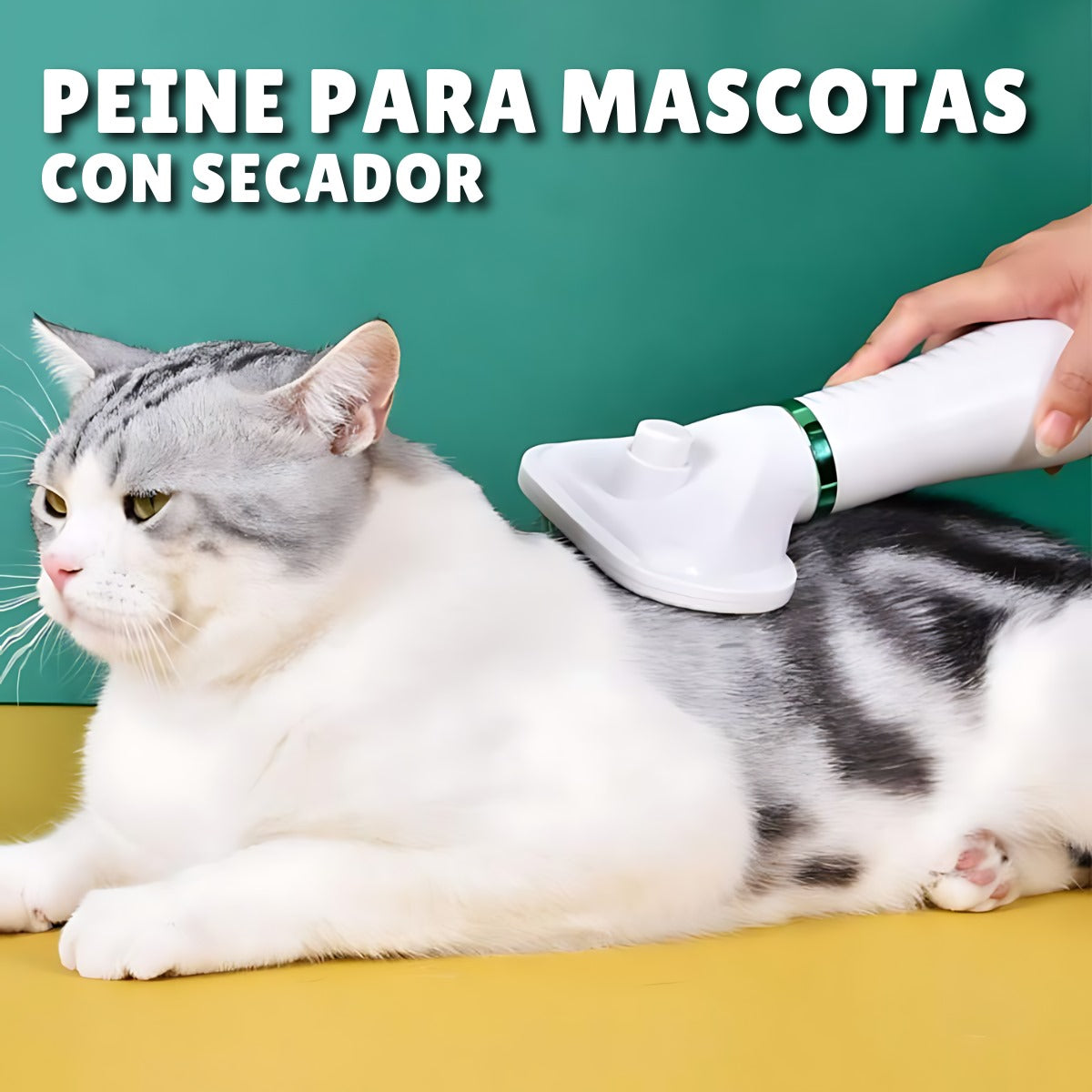 Peine con Secador para Mascotas