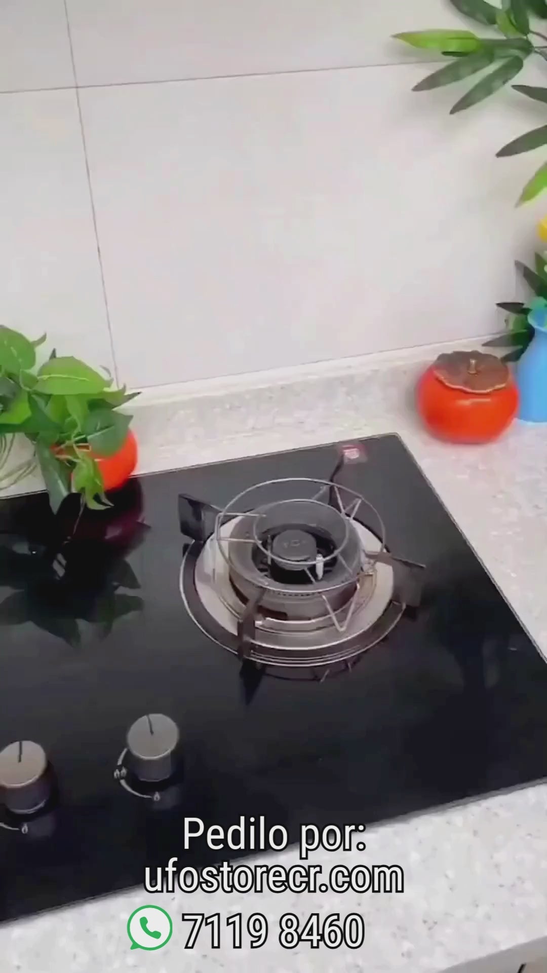 Sartén Fry Pan para gas o inducción