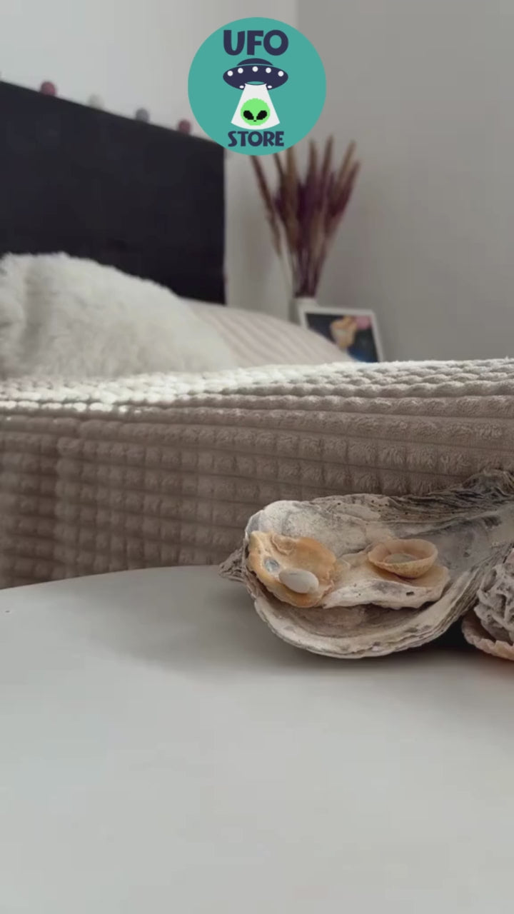 Humidificador y Lámpara Figuras Planet – 250 ml